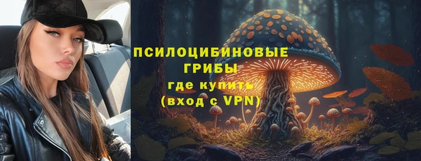 дмт Кодинск