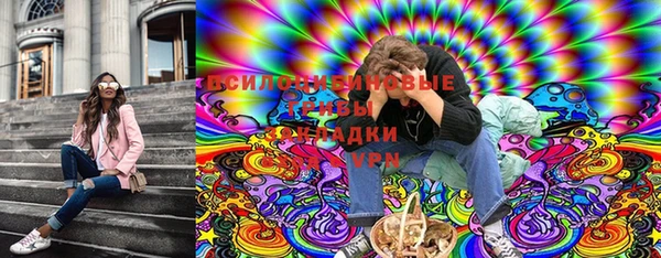 стафф Кинешма