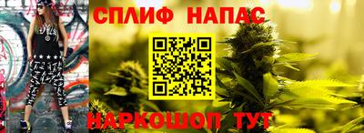 индика Абакан