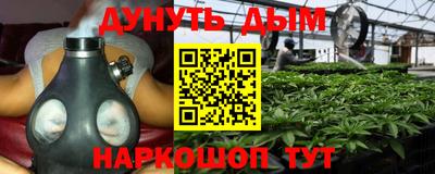 дживик Гатчина