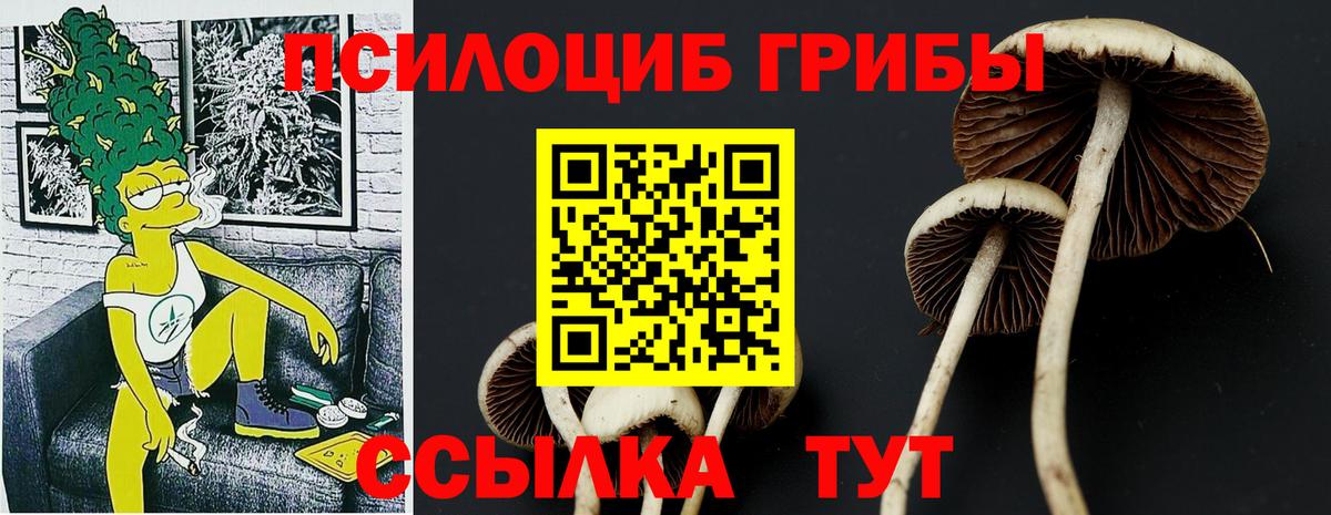 Йошкар-Ола  дарнет шоп  Вход с VPN  Галлюциногенные грибы Psilocybe  Галлюциногенные грибы прущие грибы 
